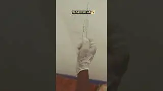 Maymunchechakning yangi shtampi