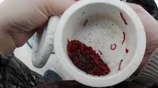 Рыбалка в палатке!Глухозимье! Поиск рыбы!