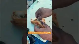 What will you say it ? Street food if Rohini😍✌️#shorts #reels #viral #food #funny