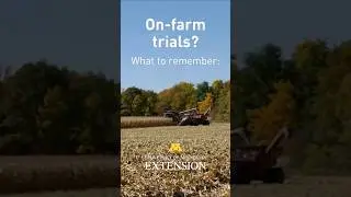 On-farm trials? What to remember