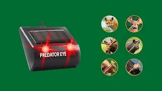 Predator Eye Pro - Solar Powered Animal Repeller