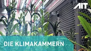 Die AIT Klimakammern (Forschungsinfrastruktur am AIT Standort Tulln)