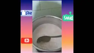 How To Make Healthy Oats In Simple And  Easy Way By Thanvitha