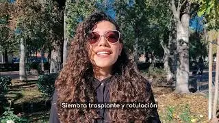 1 Agricultura Urbana