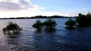 Lossless zoom, auto focus, wide contrast full HD 30fps Lumia 1020 41MP camera video sample