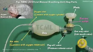 Ambu Bag Parts and It's Use