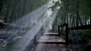 environment