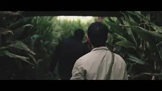 Corn Maze / Sony a6500 / CINEMATIC