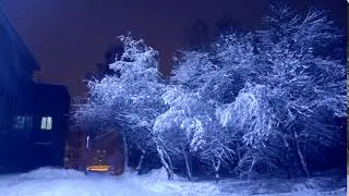 Футаж для видеомонтажа ночь, зимний лес 000108