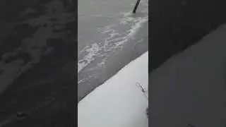 Какой То Кошмар, а не Прогулка!