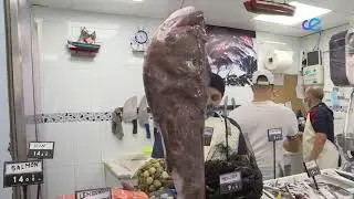 EL MERCADO 28-10-2021