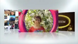 3D отражение в Vegas Pro