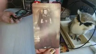 💯🤦Ой... Он там в ярости🔥. Что же это там с ним🤦💯