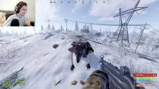 xQc gunned down Sykkuno