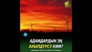 Адамдардын эң акылдуусу ким?  Шейх Максатбек ажы устаз