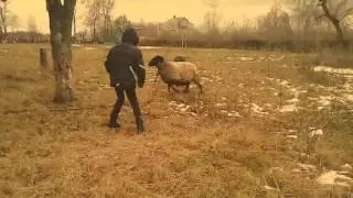 пацан хочет прокатиться на баране