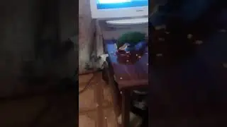 Пиррура Проша - сколько смогу съем,а остальное позакусываю.