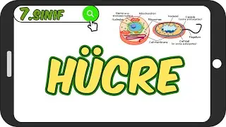 Hücrenin Kısımları ve Geçmişten Günümüze Hücre 🦠7.Sınıf Fen 