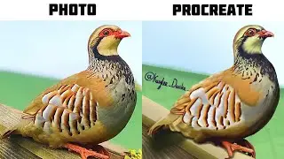 Painting Vibrant Bird on Procreate! 🐦 | Digital Speed-Painting