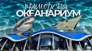 Приморский Океанариум самый большой в России!