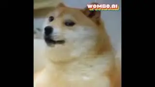Doge sings chug jug with you (kinda dumb lol)