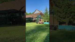 Спрятался в вольере😂ЕСТЬ СВОБОЛНЫЕ ЩЕНКИ89858905267 