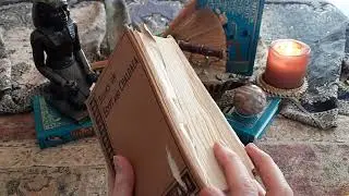 Book of The Dead - My Library Treasure