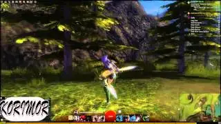 GW2 LEGENDARY THIEF (All Weapons/combos/animations)