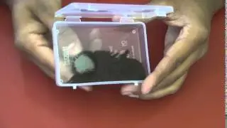 Sparky & Bright: Educational Toys - Magnetic field viewer