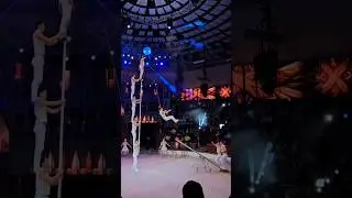 Troupe Zola - Budapest Circus festival, 2024 #circusvideo #circus
