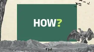case study - לאן נעלם הנשר? רשות הטבע והגנים