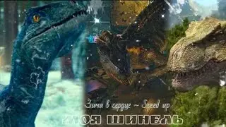 Raptor blue and Indoraptor & Speckles tribute ~ Зима в сердце (Speed up)