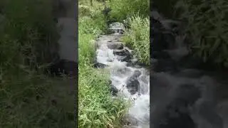 Безенги⛰️⛰️🌄