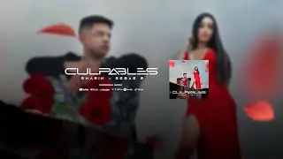 Sharik x @SebasR  Culpables - Video Oficial