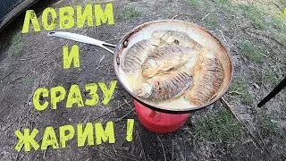 Fishing for spring crucian carp! Let's fry fish!
