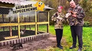 🌾Как Мы ДАРИМ новую жизнь СТАРОМУ участку...🌿 ВЫПУСК 44