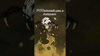 Обычный день в Австралии #мем #жиза