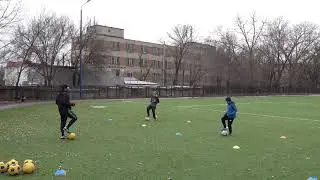 Обучение. Тренировка по футболу. Развитие голеностопных суставов. Скорость реакции. Смена позиции.