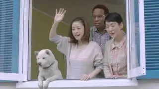 WTF Japan Seriously!?