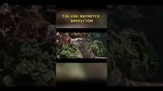 #гаррипоттер #ошибки  #harrypotter  #хогвартс  #hogwarts #ляпы #shortsvideo #short #shorts
