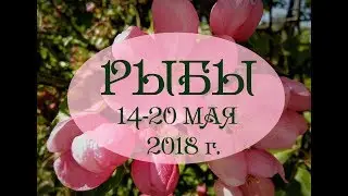 РЫБЫ.Таро гороскоп с 14 по 20 мая 2018г. Онлайн гадание.