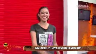 Linces de Bolivia - Cuanto siento defraudarte