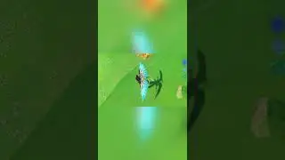 Play with Slime