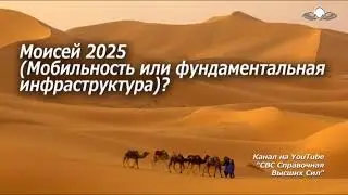 782 Моисей 2025. Мобильность или инфраструктура