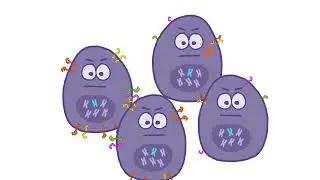 The Role of HER3 in Solid Tumors and It's Impact on Cancer