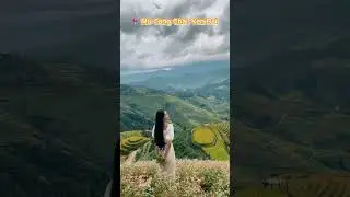 Discover Mu Cang Chai: The Rice Harvest Season in Vietnam #gadttravel #explorevietnam #viralshorts