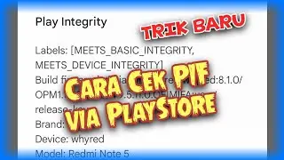 Cara TERBARU Cek Play Integrity (PIF) via PlayStore