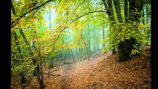 Herfst 2012