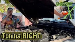 IS The BIG 4.6L V8 Running Good? -  Plus Brain Tumour Update