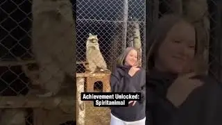 RACCOON VIBES #short #dj #memes #shortsvideo #shorts #housemusic #techhouse #viral #viralvideo #fyp